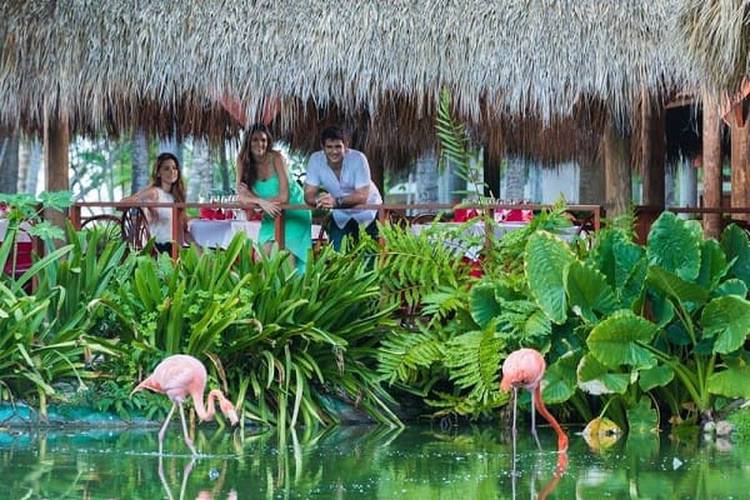 Бронируйте и экономьте деньги прямо сейчас! Blau Hotels & Resorts Бронируйте и экономьте деньги прямо сейчас! Blau Hotels & Resorts