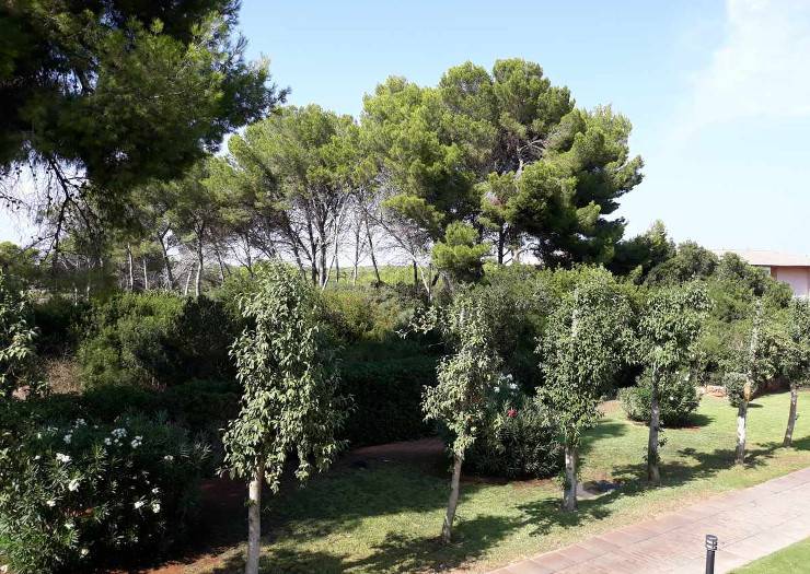 Double room ses salines view blau colonia sant jordi resort & spa majorca Double room ses salines view blau colonia sant jordi resort & spa majorca