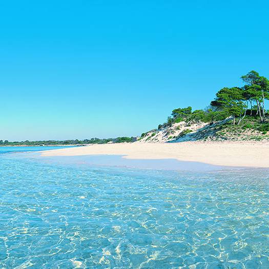 Summer is not over yet! Blau Hotels for Holidays Summer is not over yet! Blau Hotels for Holidays