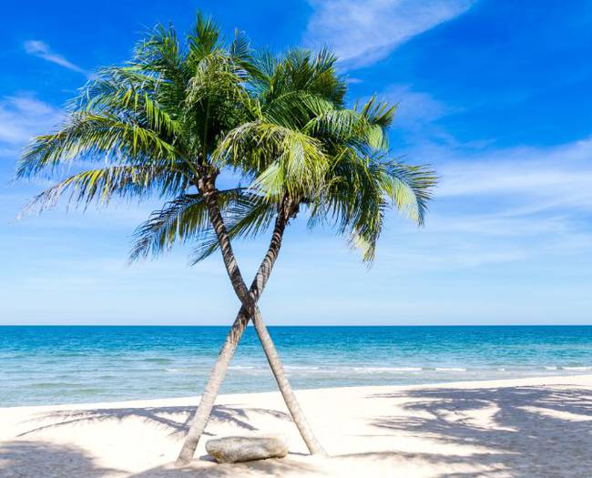 Sonderangebot für aufenthalte 2020 hotel blau arenal habana beach kuba Sonderangebot für aufenthalte 2020 hotel blau arenal habana beach kuba