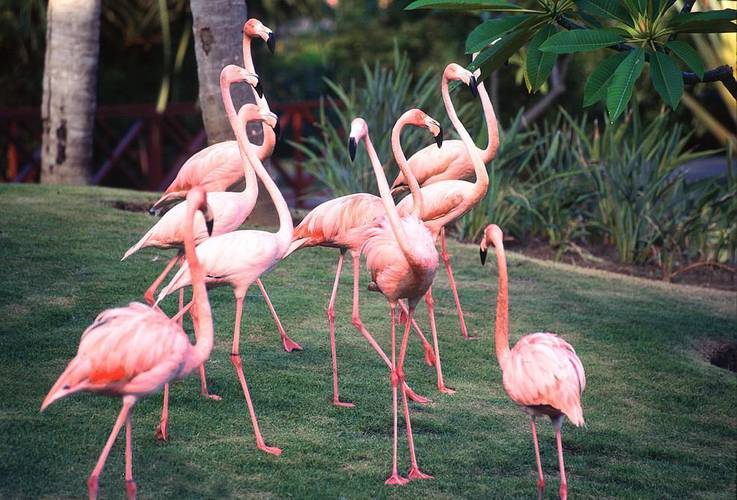 Ecohotel en Punta Cana